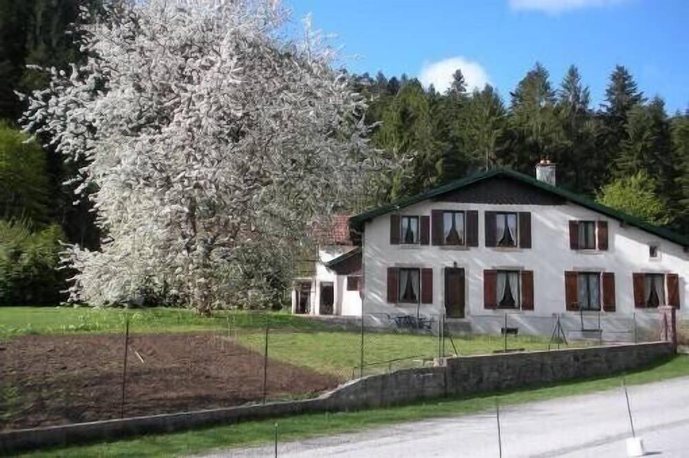 Apartamento entero, Alojamiento 4 personas jardín, tranquilo, Gerardmer Wifi Gratuito in Gérardmer, Parque natural regional de los Ballons des Vosges