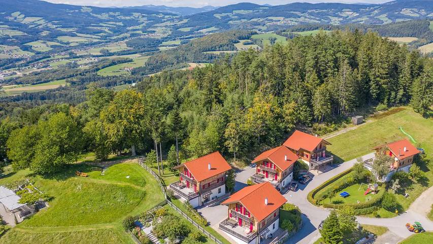 Ferienwohnung für 4 Personen, mit Terrasse und Garten in Pöllauberg - 3