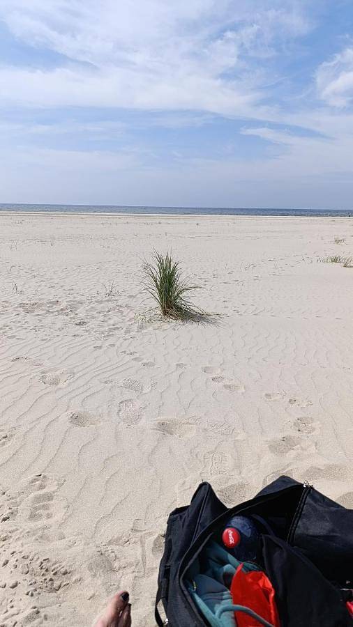 Location de vacances pour 4 personnes, avec Terrasse et Jardin à Schagen - 3