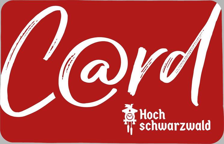 Ganze Wohnung, Ferienwohnung Belchen" mit Balkon und Wi-Fi in Todtnauberg (Todtnau), Todtnau