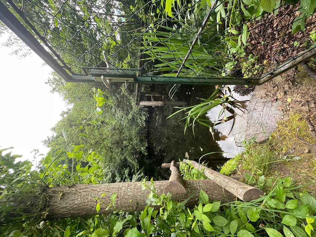 Ganze Ferienwohnung, Ferienwohnung mit privatem Naturschwimmteich - Ferienwohnung mit direktem Zugang zum Garten in Laimbach am Ostrong, Gemeinde Münichreith-Laimbach
