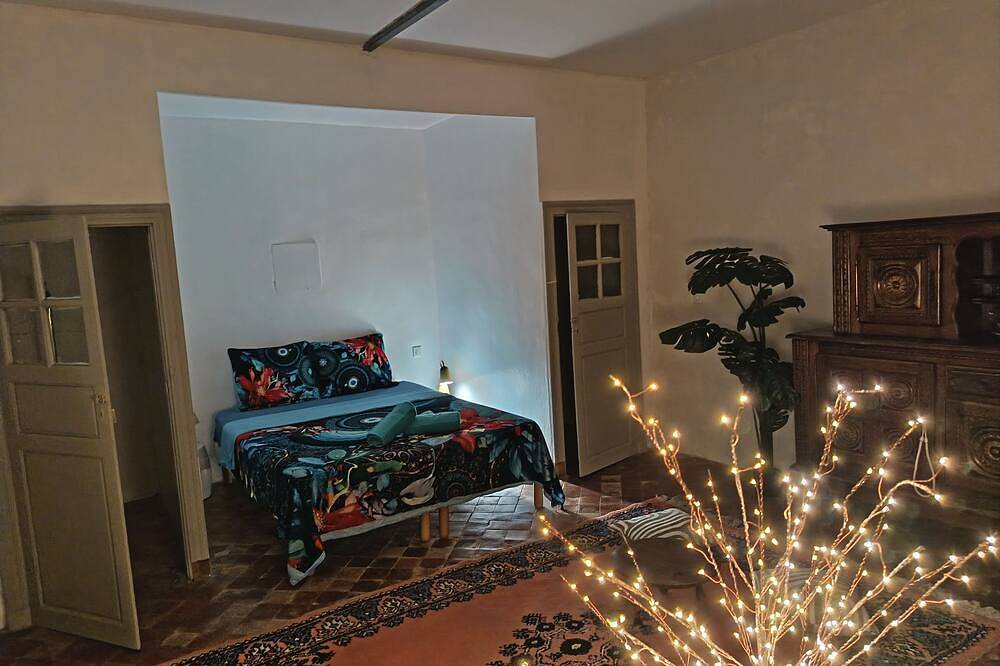 The 2 little rabbits in Luc-sur-Orbieu, Region de Narbonne