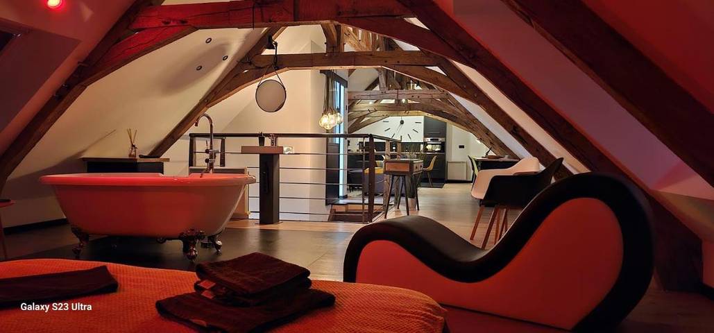 Gîte pour 2 personnes, avec vue et vue sur le lac à Martigné-Ferchaud - 2