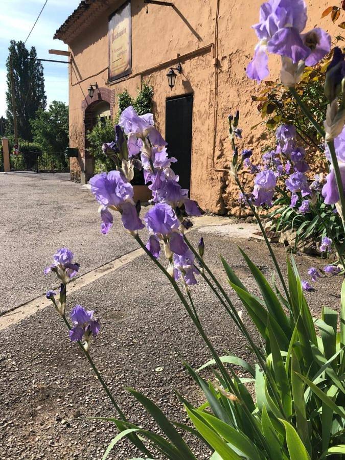 Hôtel pour 6 personnes, avec jardin et vue, animaux acceptés à Méounes-lès-Montrieux - 2