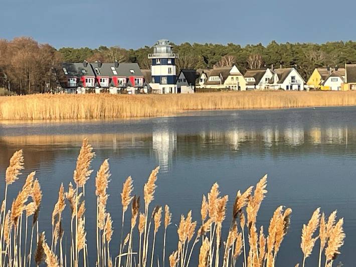 Ferienhaus für 6 Personen, mit Garten, mit Haustier in Breege - 2