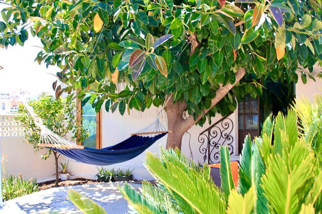 Entire Villa by the sea with private garden and mini pool in Torrevieja, Costa Blanca