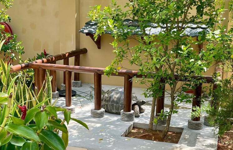 Location de vacances pour 6 personnes, avec jardin ainsi que piscine et vue dans Beau Vallon - 3