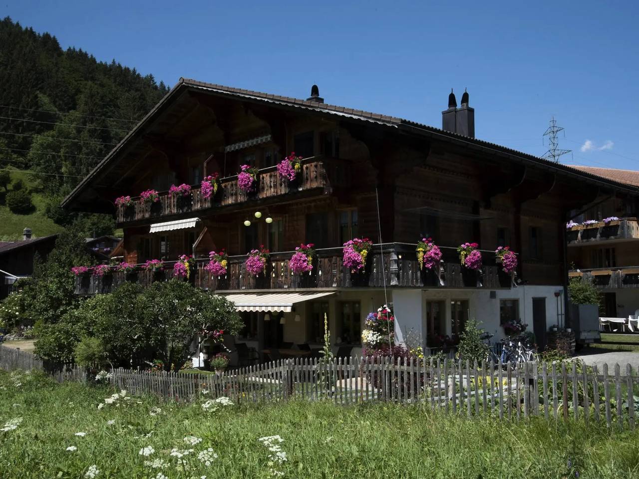 Ganze Wohnung, 2 Zimmer 2 Personen in Gstaad, Saanen