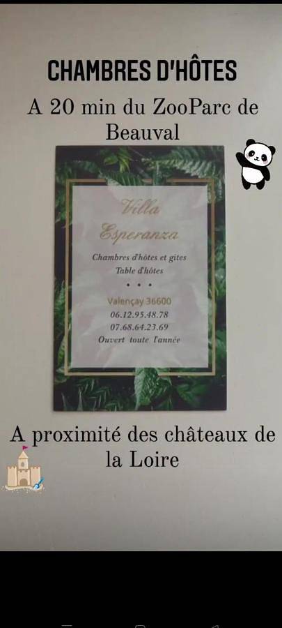 Chambre d’hôte pour 4 personnes, avec jardin et terrasse à Valençay - 2