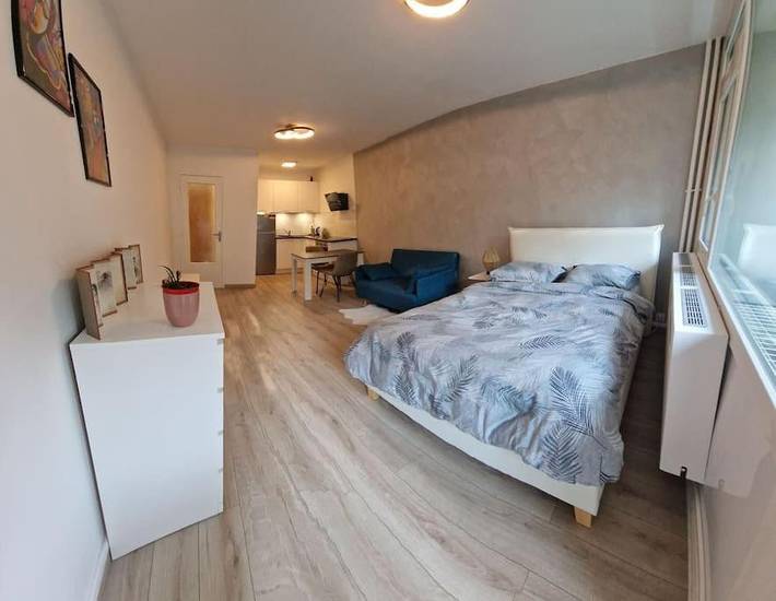Location de vacances pour 4 personnes, avec Balcon et Terrasse à Ferney-Voltaire