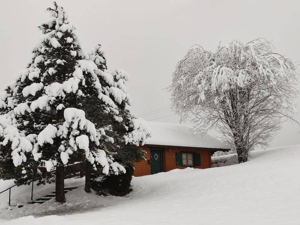 Haus Otis in Sonnenalm, Bad Mitterndorf