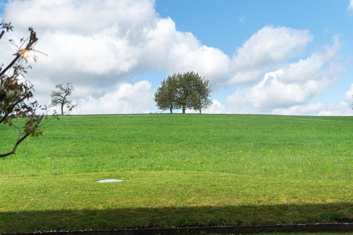 Appartement entier, Appartement acceptant les chiens H1 008 in Enderndorf am See, Spalt