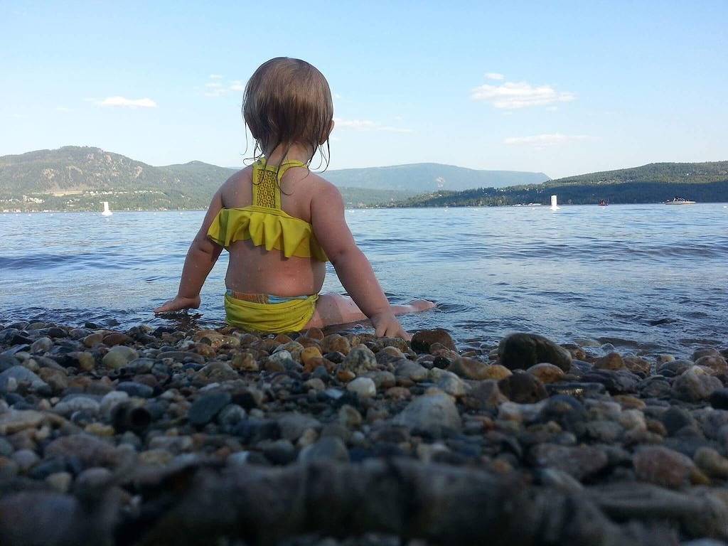 Bauernhaushütte - Anglemont, Bc. North Shuswap in Shuswap Lake, Columbia-Shuswap Regional District