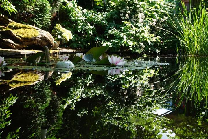 Ferienwohnung für 3 Personen, mit Ausblick und Garten in Altenmarkt im Pongau - 3