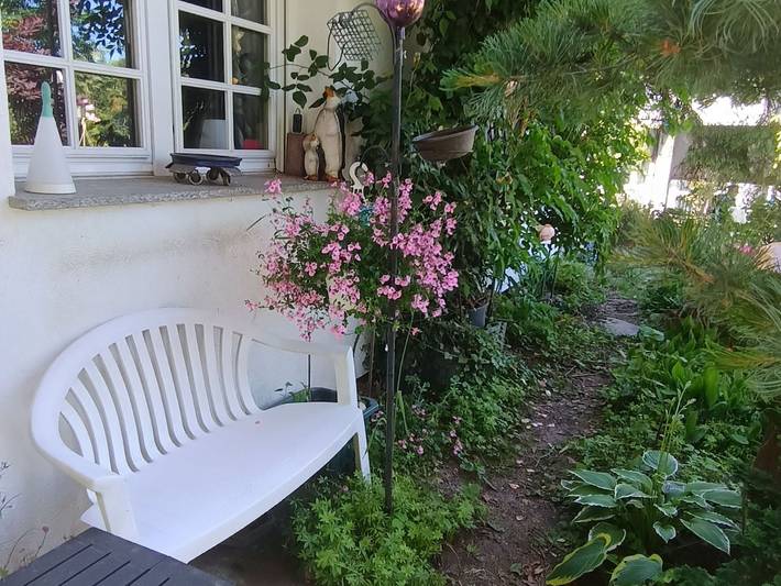 Ganze Ferienwohnung, Ferienwohnung Mollischranke in Heiligendamm, Rostock und Umgebung