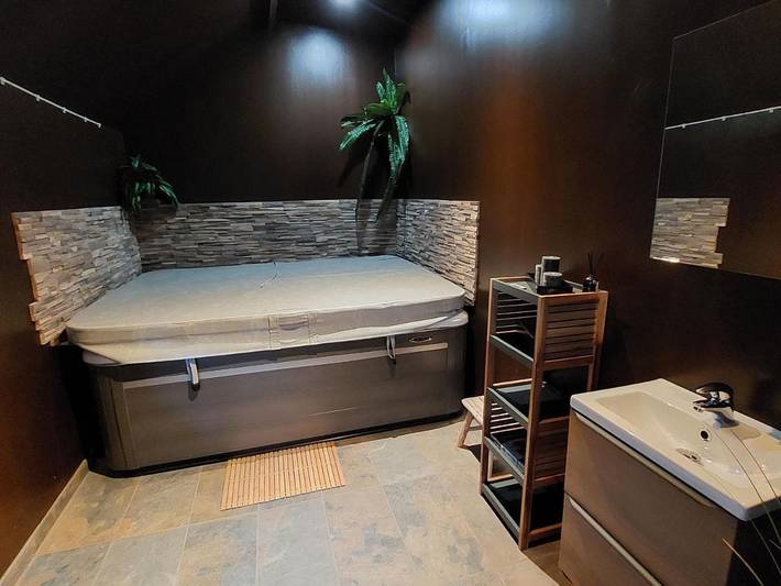 Maison d’hôte pour 6 personnes, avec terrasse ainsi que sauna et jacuzzi dans Loiret - 4