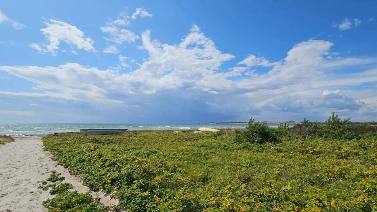 Ferienhaus für 6 Personen (73 m²) in Knebel in Skødshoved, Knebel
