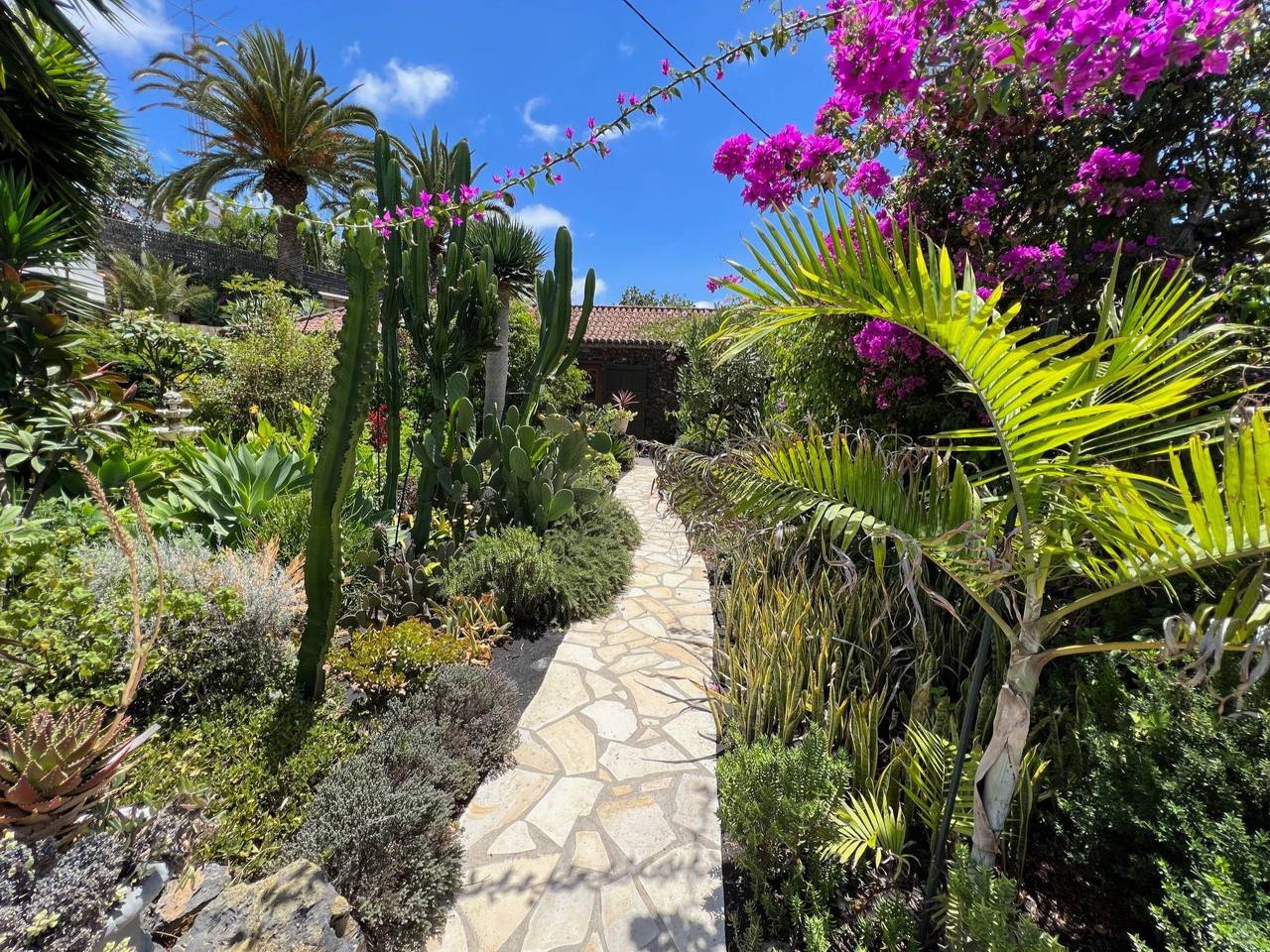Casa Jardín Tropical in Tajuya, Los Llanos de Aridane