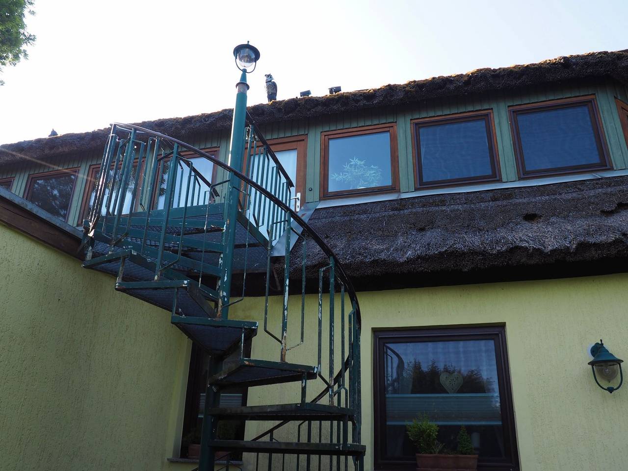Ganze Ferienwohnung, Landferienwohnung Kornblume in Rappin, Rügen