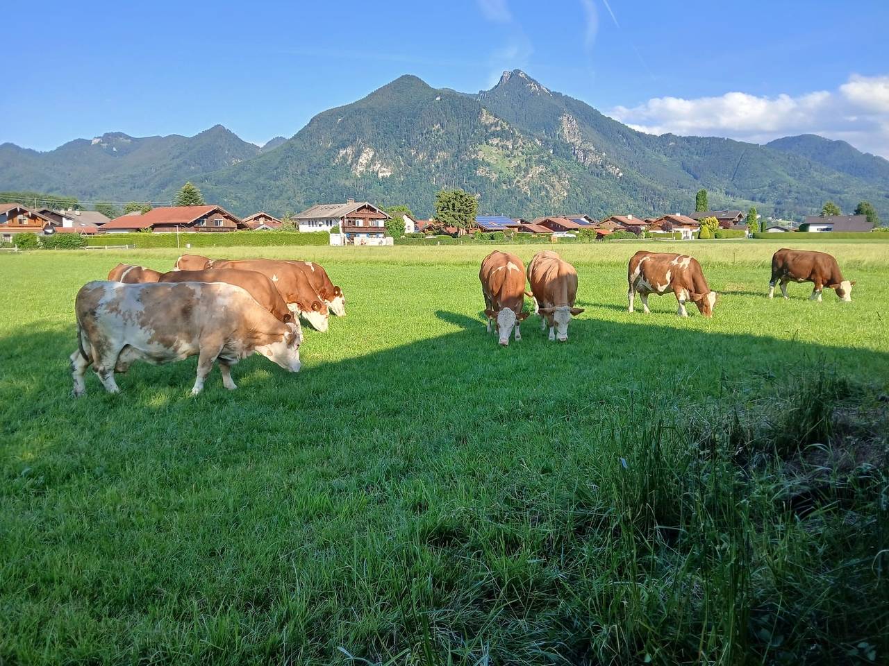 Moierhof - Doppelzimmer, foto 7