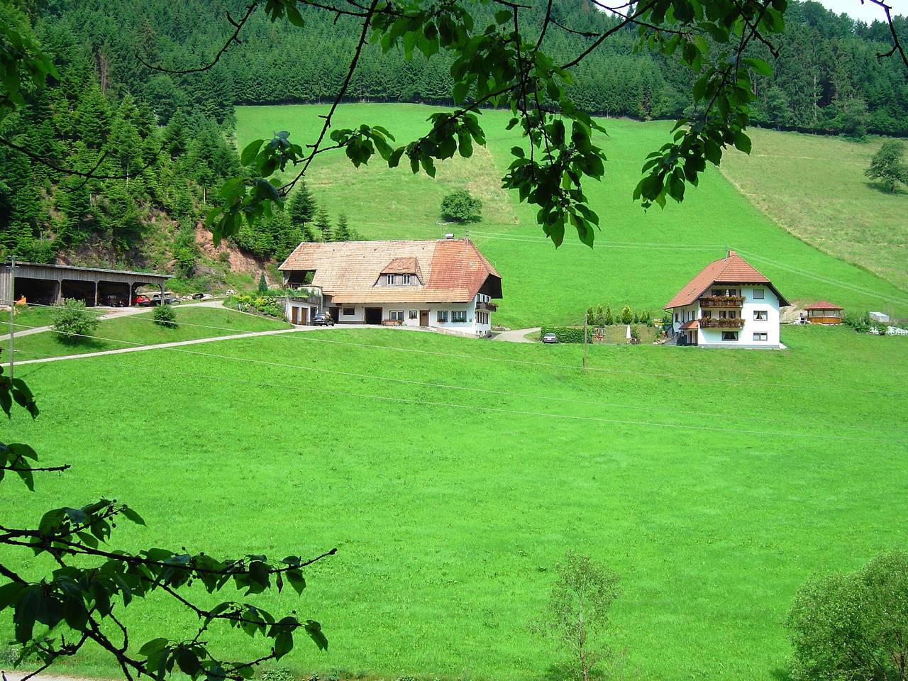 Ganze Wohnung, Schwarzwald-Bauernhaus in reizvoller Lage in Hofstetten, Mittlerer Schwarzwald