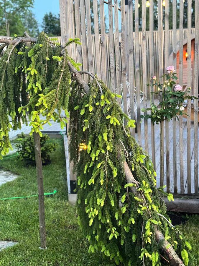 Chalet pour 2 personnes, avec jardin ainsi que jacuzzi et sauna en Pologne - 4