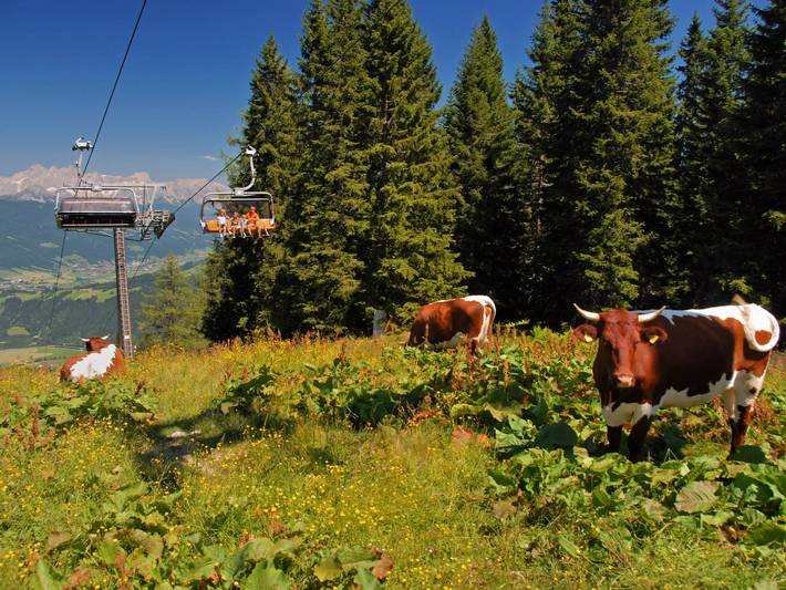 Ferienwohnung für 4 Personen, mit Balkon und Garten sowie Sauna in Flachau - 2
