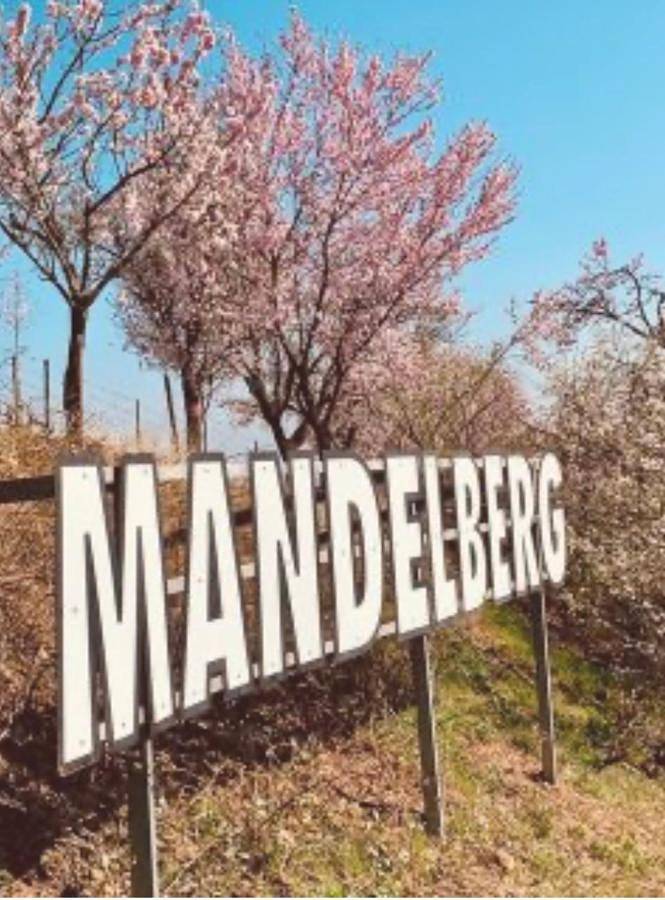 Location de vacances pour 5 personnes, avec jardin à Bennwihr - 3