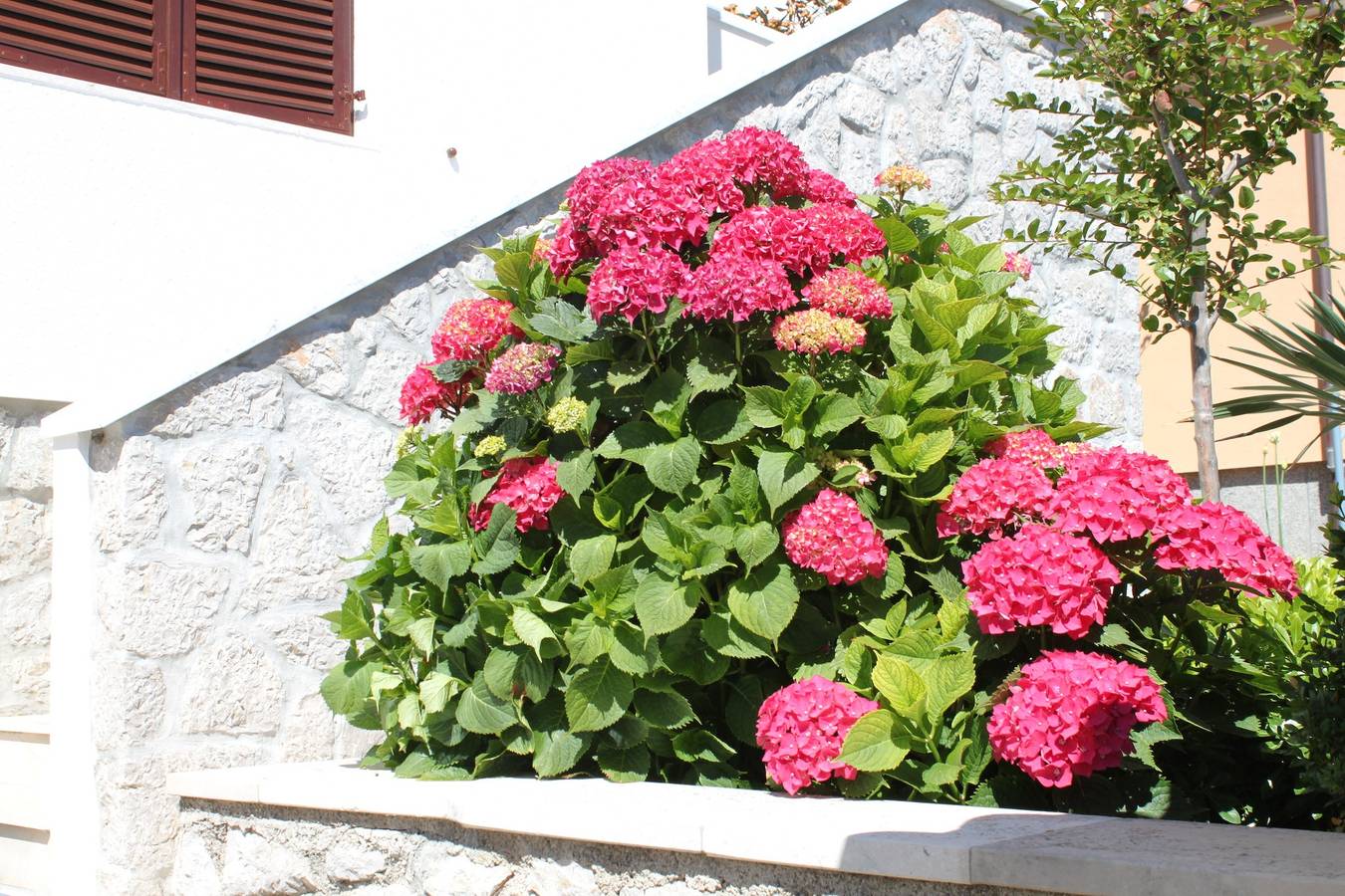 Ganze Wohnung, 2-Zimmer-Ferienwohnung mit Terrasse Mali Losinj, Losinj A-8024-a in Mali Lošinj, Lošinj