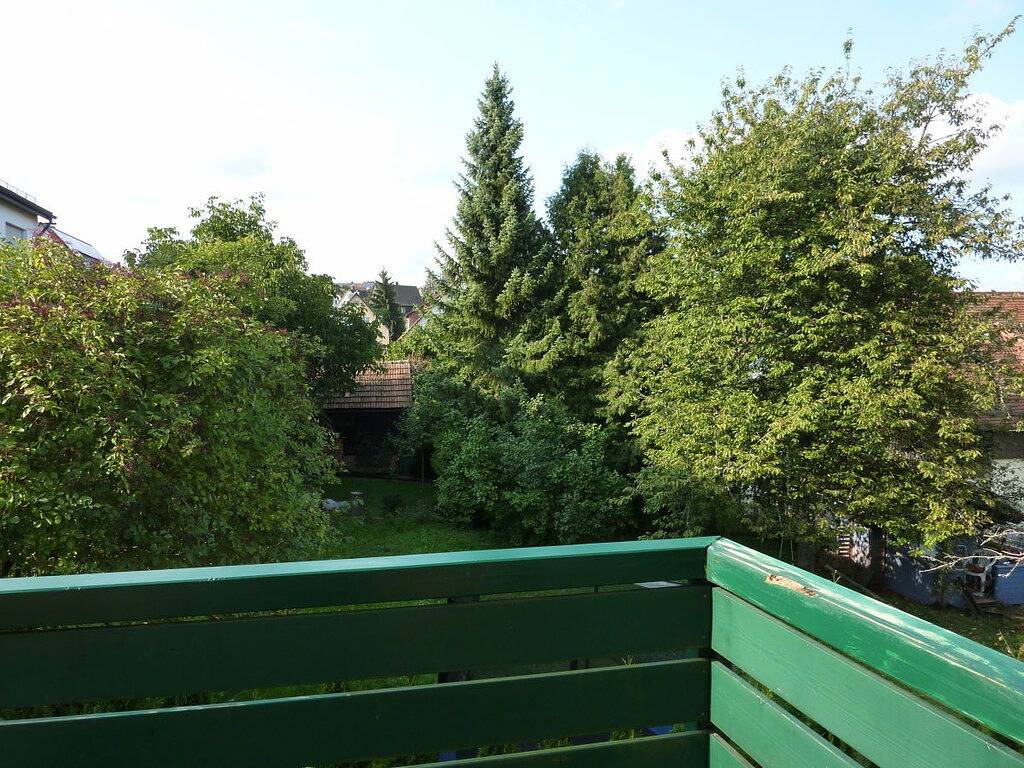 Schwarzwald light in Freudenstadt, Mittlerer Schwarzwald