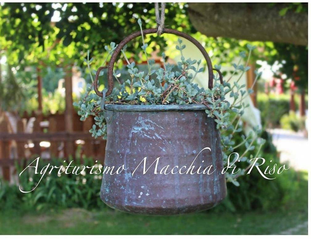 Appartamento intero, Agriturismo Macchia di Riso in Rotondella, Golfo di Taranto
