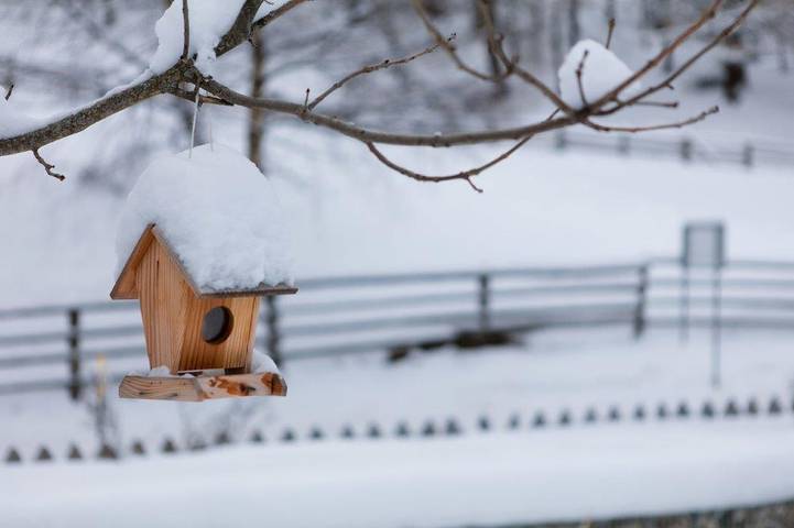 Chalet für 9 Personen, mit Garten, mit Haustier in Südtirol - 3