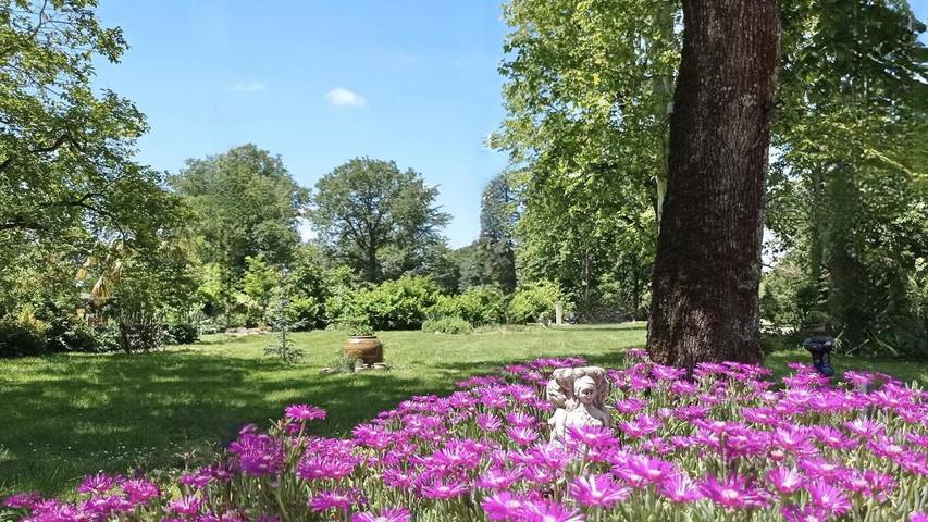 Chambre d’hôte pour 3 personnes, avec jardin et sauna ainsi que piscine et vue à Saint-Affrique-les-Montagnes - 3