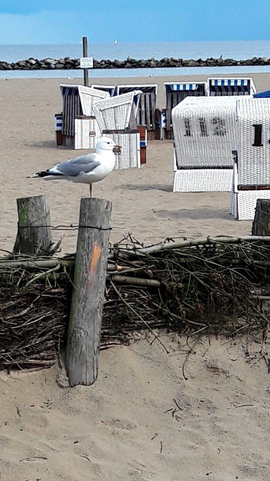 Ganze Ferienwohnung, Markert in Loose, Eckernförder Bucht