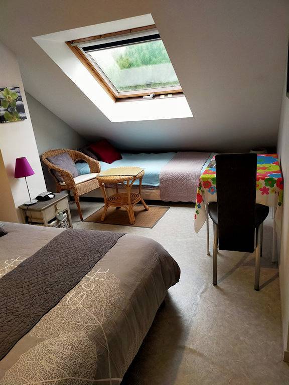 Studio pour 3 personnes, avec terrasse et jardin dans Loiret - 3