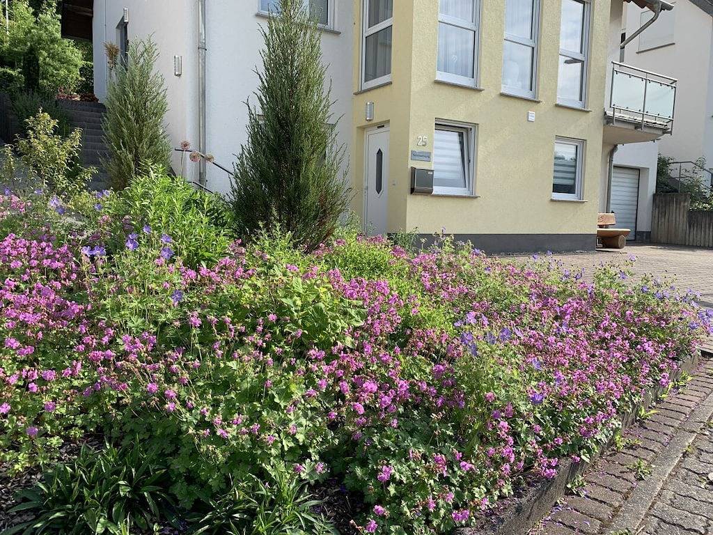 Ferienwohnung mit 1 Schlafzimmer in Burg Eltz, Brodenbach