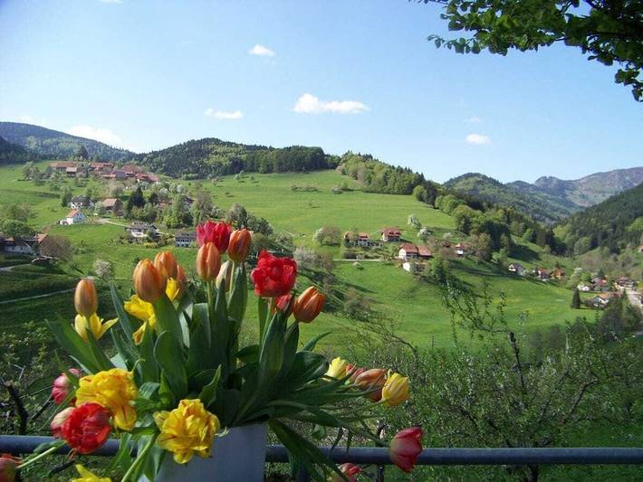 Ferienhaus für 6 Personen, mit Balkon und Terrasse sowie Garten in Kleines Wiesental - 2