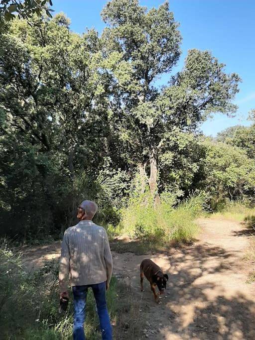 Location de vacances pour 5 personnes, avec terrasse à Le Pouget - 2