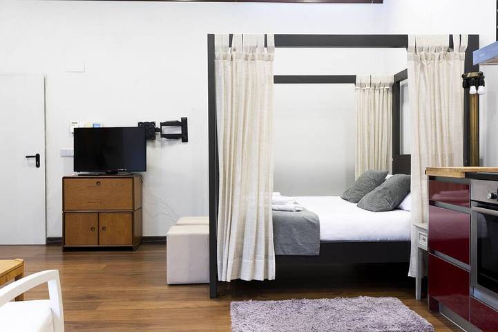 Ganze Wohnung, Loft in Hondarribia, Baskische Küste (Spanien)