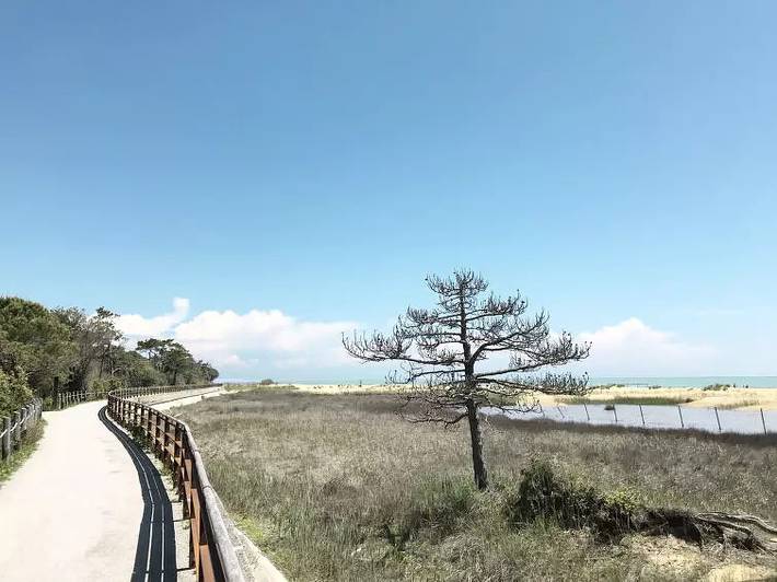 Ferienhaus für 6 Personen, mit Garten und Pool in Bibione - 3