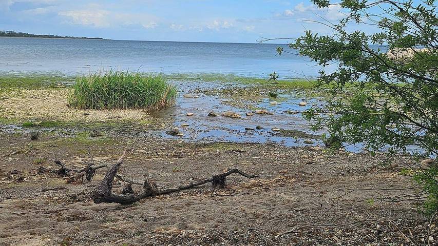 Ferienhaus für 7 Personen, mit Garten und Pool in Apenrade - 3