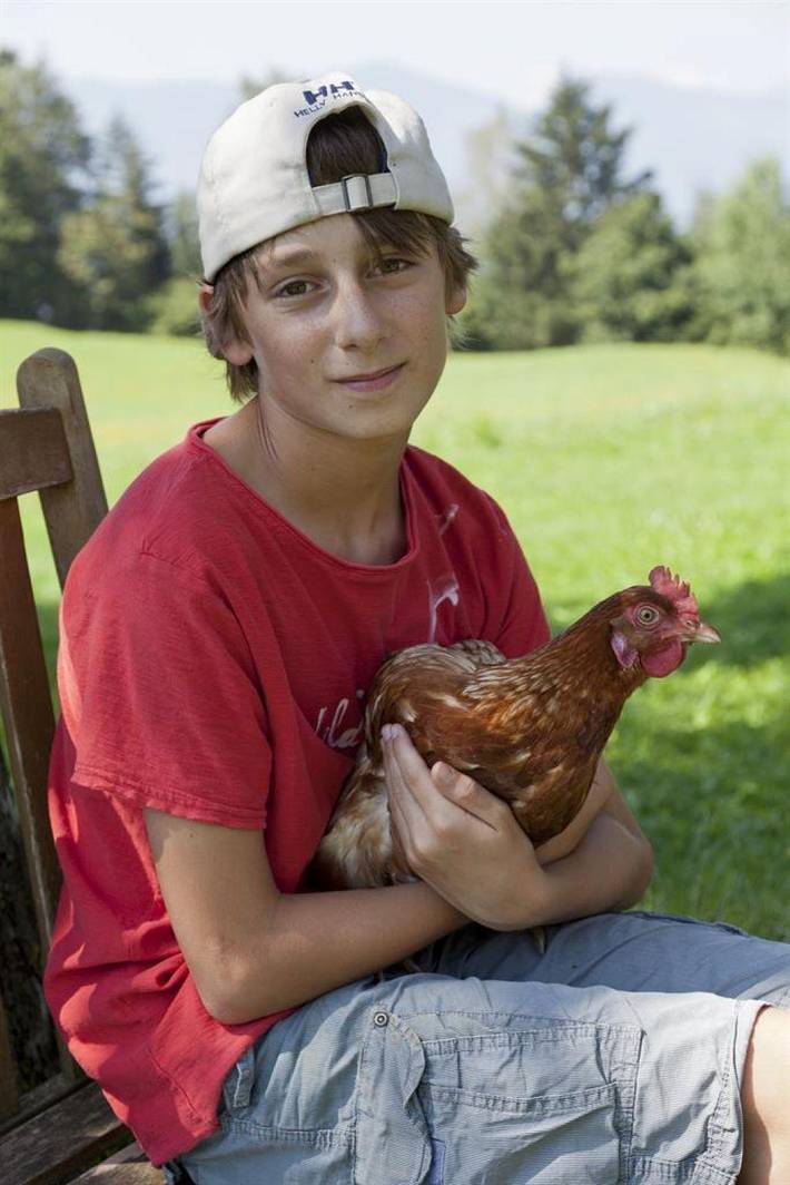 Bauernhaus für 7 Personen, mit Pool und Garten, mit Haustier am Millstätter See - 3