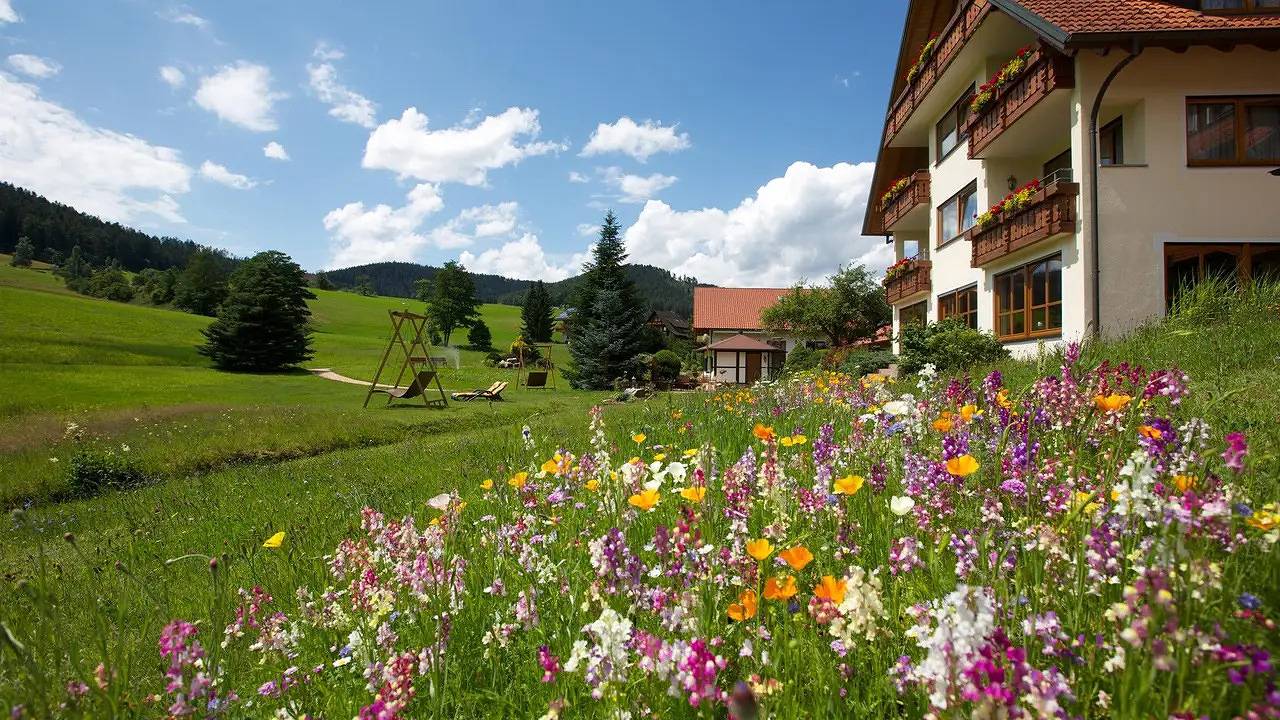 Ganze Ferienwohnung, Ferienwohnung für 3 Personen (35 m²) in Baiersbronn in Tonbach, Baiersbronn