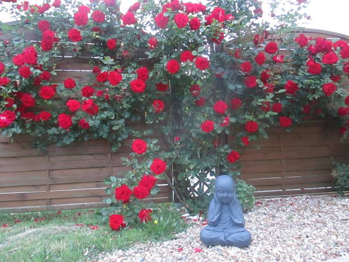 Gîte pour 6 personnes, avec terrasse et jardin à Seigy - 2