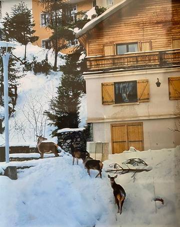 Chalet pour 8 personnes, avec vue et jardin, adapté aux familles dans Auron