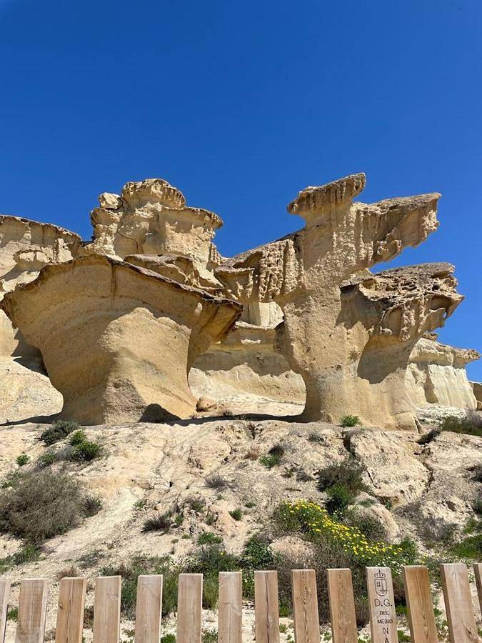 Gîte pour 8 personnes, avec piscine et jardin dans Camposol