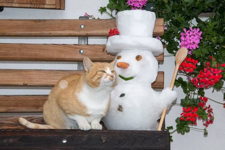 Gîte pour 2 personnes, avec vue et jardin à Dobbiaco - 4
