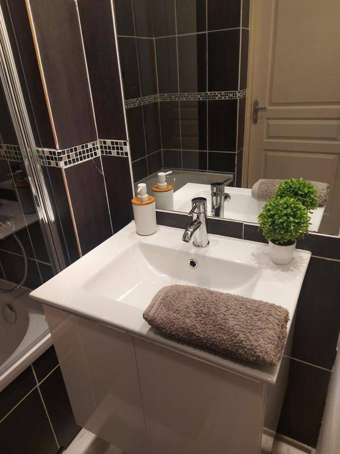 Gîte pour 3 personnes, avec piscine ainsi que jardin et vue, animaux acceptés dans Sainte-Clotilde - 3