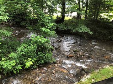 Log Cabin for 2 Guests in Blue Ridge Parkway, Maggie Valley, Picture 3