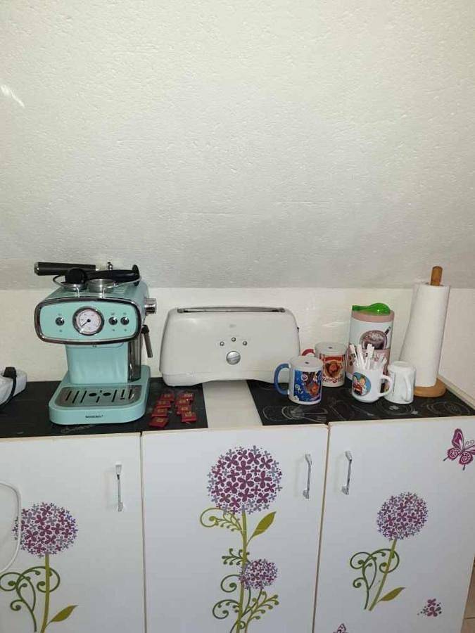 Gîte pour 3 personnes, animaux acceptés à Précigné - 4